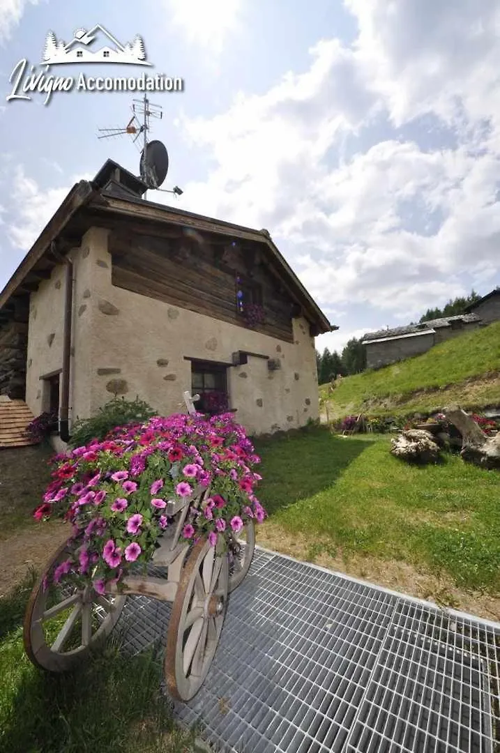 Mountain Chalet Scoiattolo By Livigno Accomodation