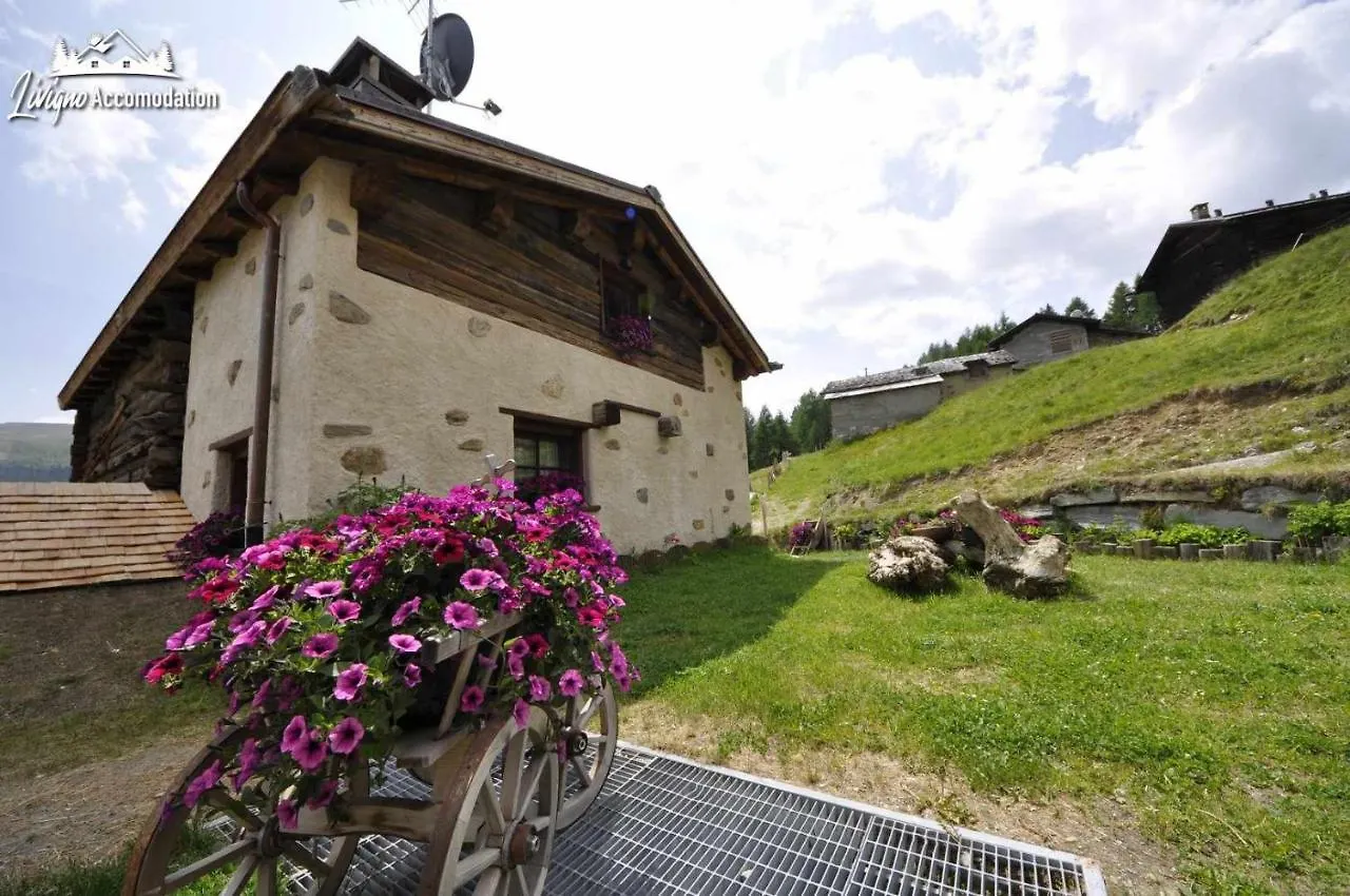 Mountain Chalet Scoiattolo By Livigno Accomodation